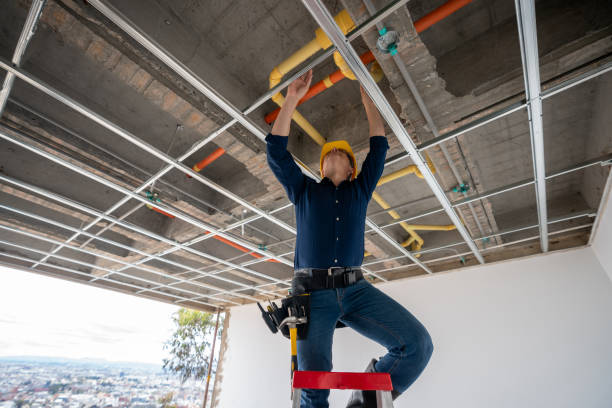 Best Toilet Repair Services  in Ravenel, SC