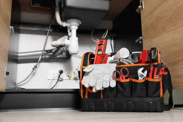 Best Clogged Drain Plumber  in Ravenel, SC