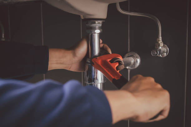 Best Plumbing Inspection Services  in Ravenel, SC