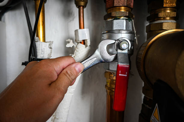 Best Water Softener Installation  in Ravenel, SC